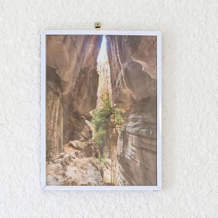 Les Mimosas - 05 Appartement *